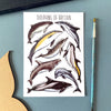 Alexia Claire | Dolphins of Britain | Postcard | Conscious Craft